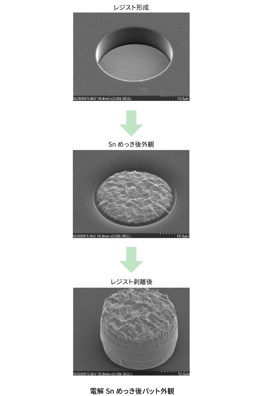 電解Snめっき後パット外観.jpg