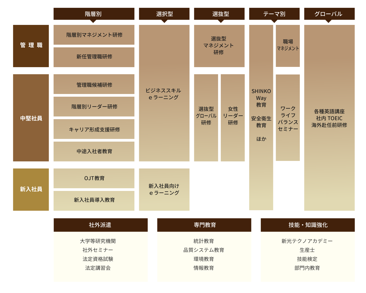 図：教育体系