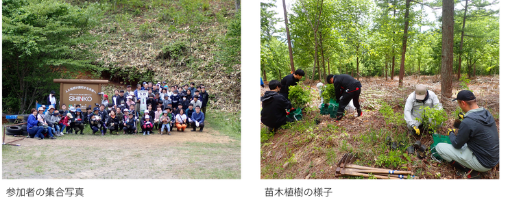 生物多様性町有林整備.png