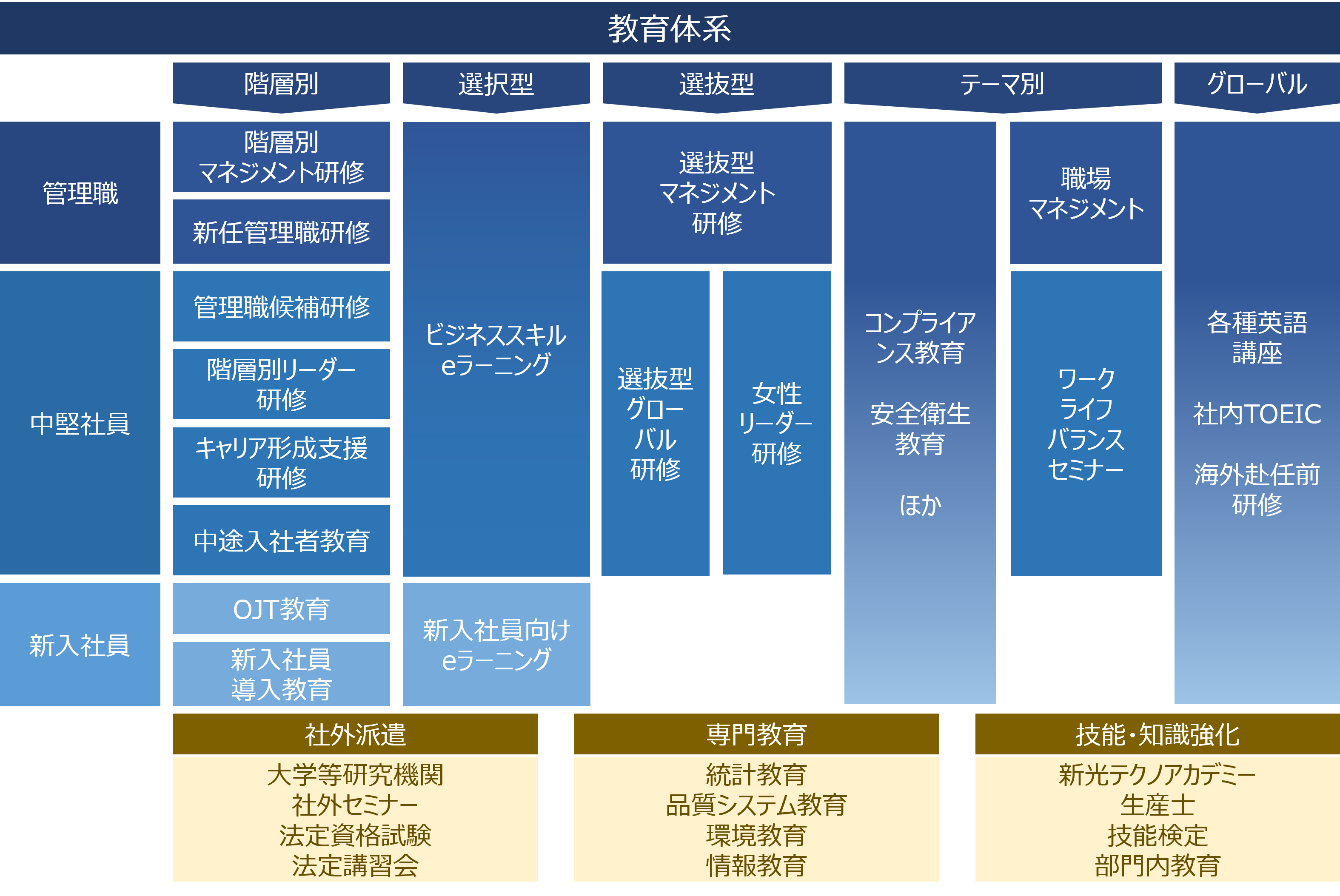 教育体系図_jp.png